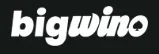 Bigwino logo